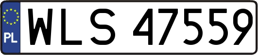 WLS47559