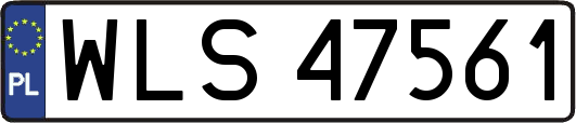 WLS47561