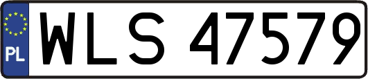 WLS47579