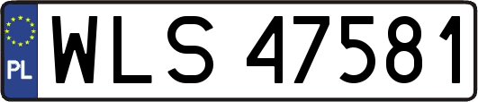 WLS47581