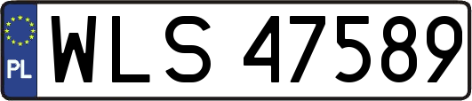 WLS47589