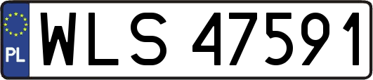 WLS47591