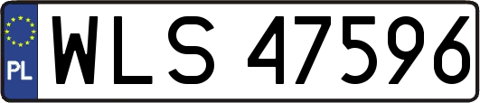 WLS47596