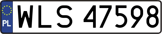 WLS47598