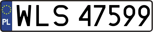 WLS47599