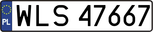 WLS47667