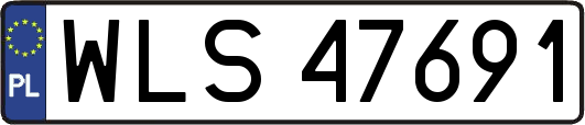 WLS47691