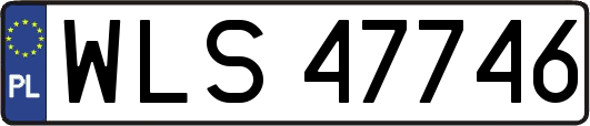 WLS47746
