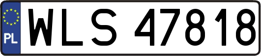 WLS47818