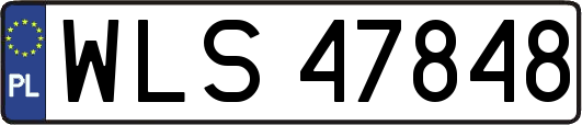 WLS47848