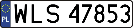 WLS47853