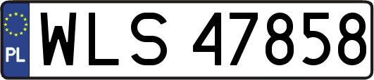 WLS47858