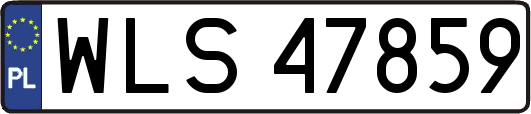 WLS47859