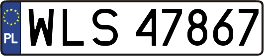 WLS47867