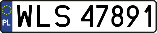 WLS47891