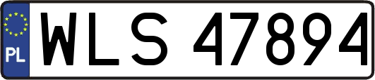 WLS47894
