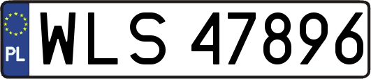 WLS47896