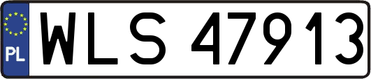WLS47913