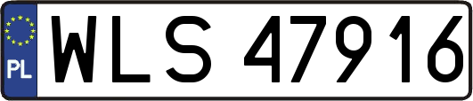 WLS47916