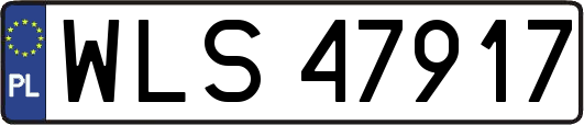 WLS47917