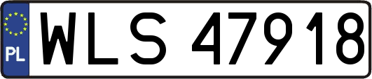 WLS47918