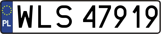 WLS47919