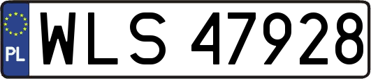 WLS47928