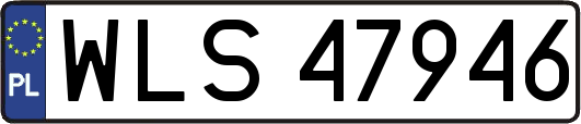 WLS47946