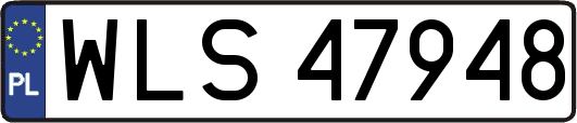 WLS47948