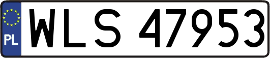 WLS47953