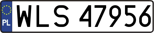 WLS47956
