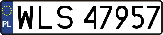 WLS47957