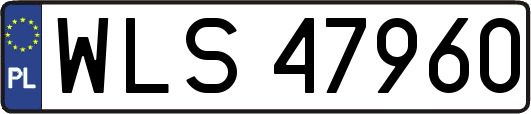 WLS47960