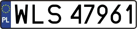 WLS47961