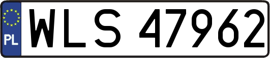 WLS47962