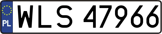 WLS47966