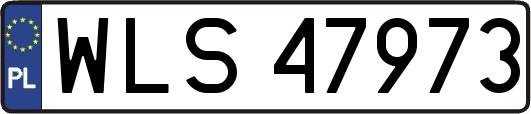 WLS47973