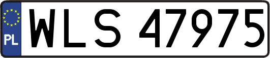 WLS47975