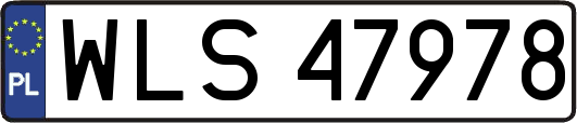 WLS47978