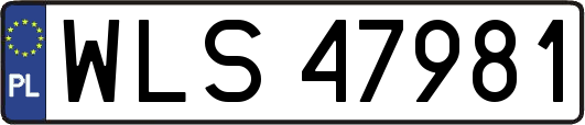 WLS47981