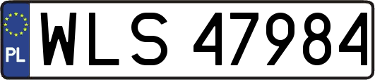 WLS47984