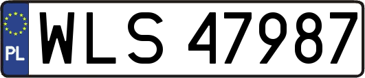 WLS47987