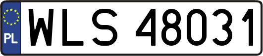 WLS48031