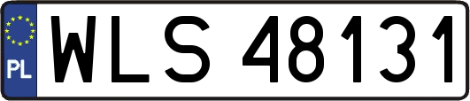 WLS48131