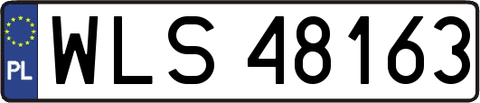 WLS48163