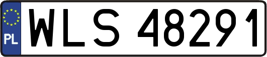 WLS48291