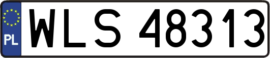 WLS48313
