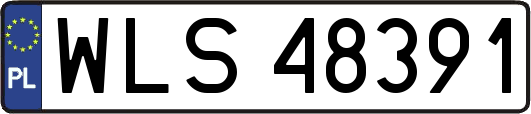 WLS48391