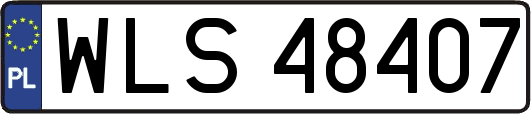 WLS48407