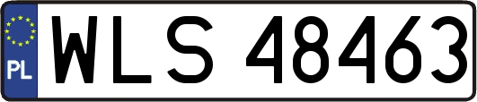 WLS48463